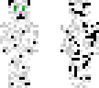 kitty cat