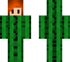 cactus b o i