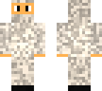 snowy camo ninja