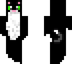 black cat