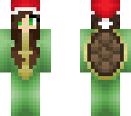 chirstmas turtle