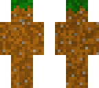 dirt