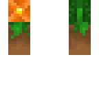 a plant