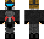 fallout skin-premium