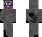grey cat