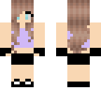 minecraft diaries