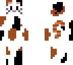 calico cat