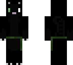 novice cat
