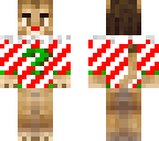 christmas lion