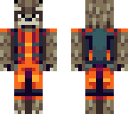 racoon