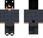 panda version