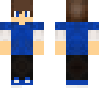 skin upgrade