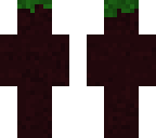 a grass block