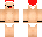 baby derp with santa hat