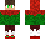 christmass skin