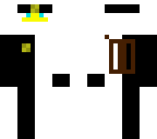 new white ninja