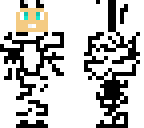 zebra costume