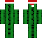 christmas cactus