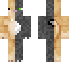 doge and cat