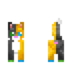 siamese cat