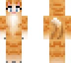 ginger cat