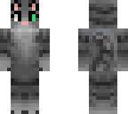 warrior cat