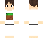start skin