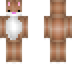 hamster