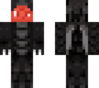 next skin for rzkickyt