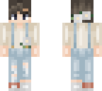 asters skin