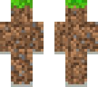 dirt and rock
