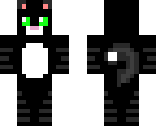 my cat