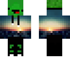 sunset turtle