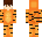 tiger boy