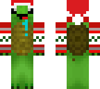 xmas turtle