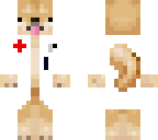 doctor doge