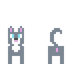 kitty