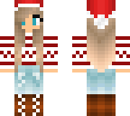 twin skin