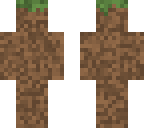 dirt