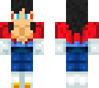 vegetto
