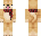 doggo with a scarf
