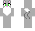 gray cat
