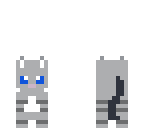 cute cat