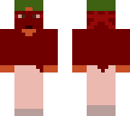 destructor soldier 2p0 2