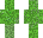 camouflage