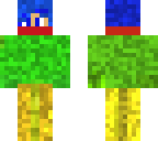 yolo skin