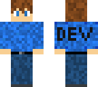 developer