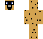 cheetah