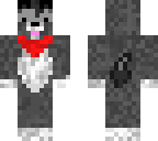 cute grey dog