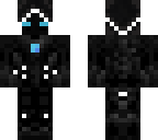 entity 303 ice